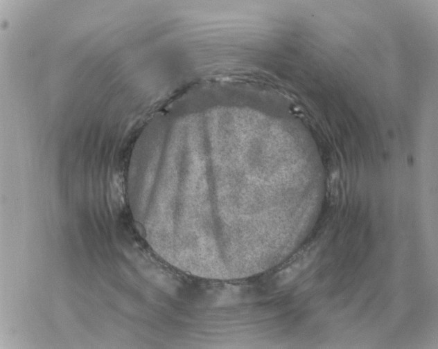 X0000070390772200606301945