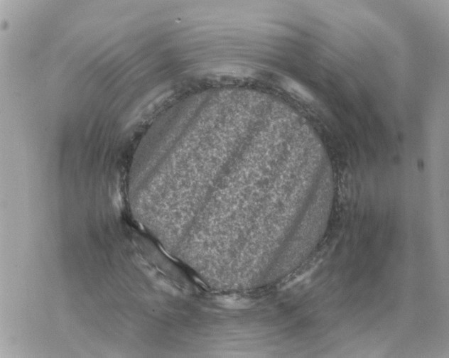 X0000070390774200606301945