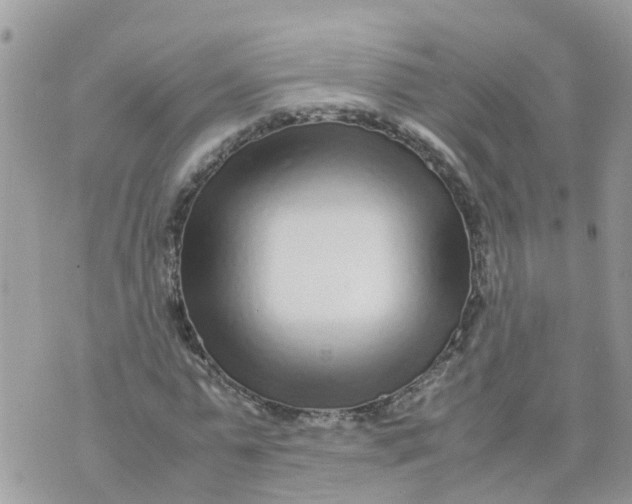 X0000070390775200606301945