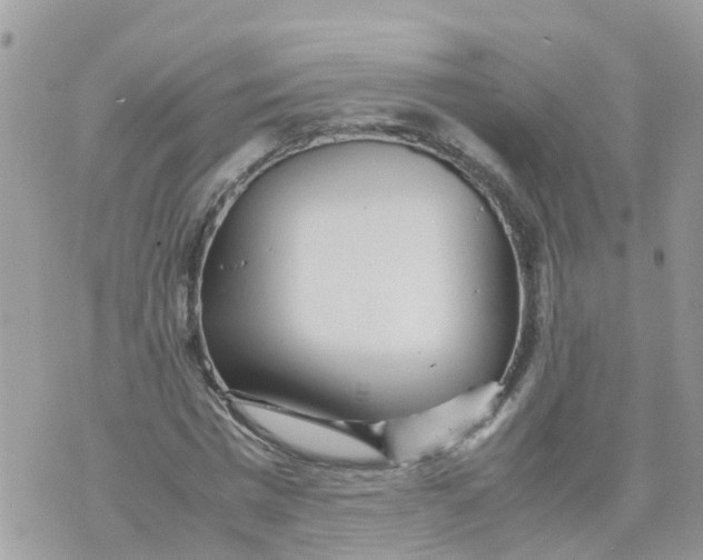 X0000070390777200606301945