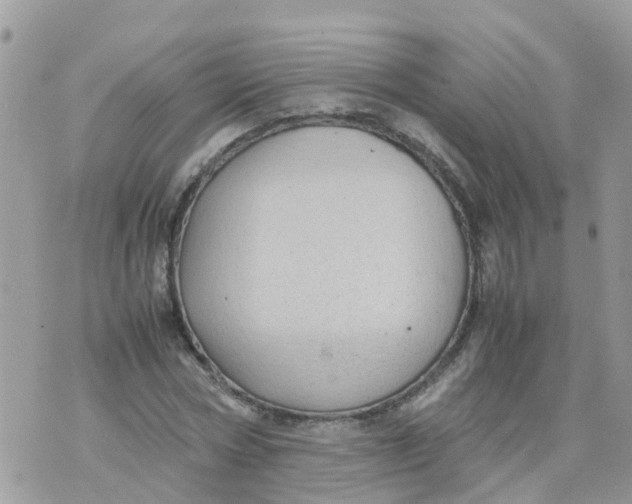 X0000070390778200606301945