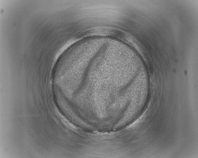 X0000070390779200606301945