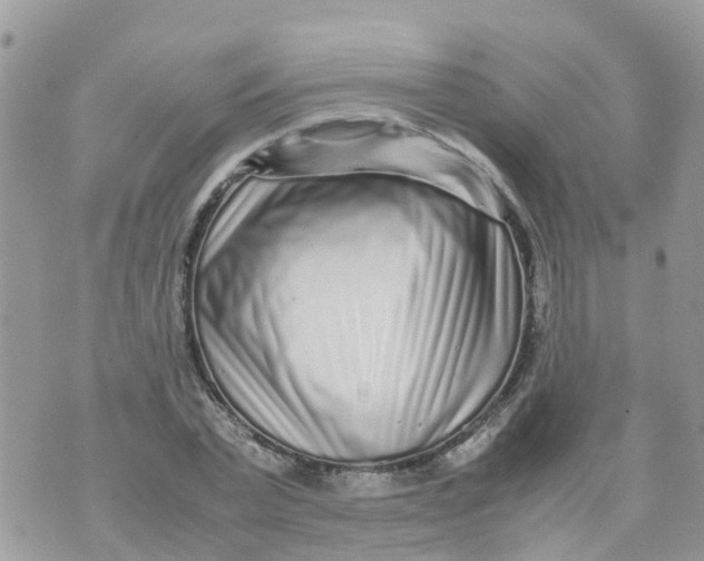 X0000070390783200606301945