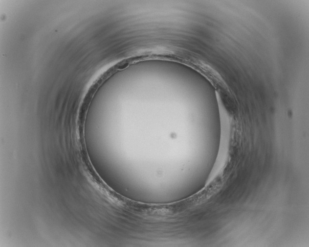 X0000070390784200606301945