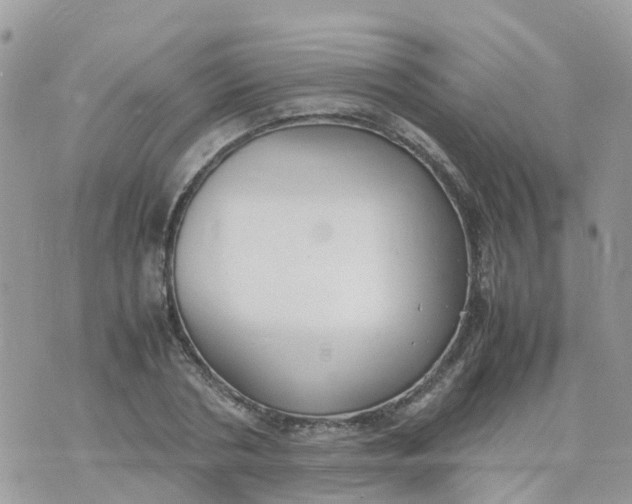 X0000070390786200606301945