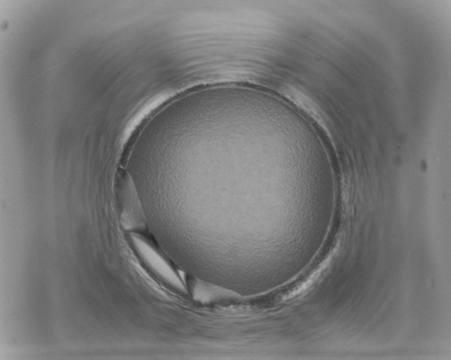 X0000070390789200606301945