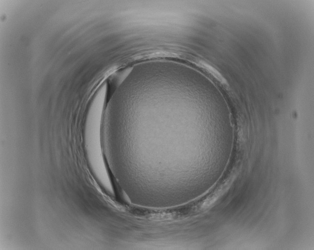 X0000070390793200606301945