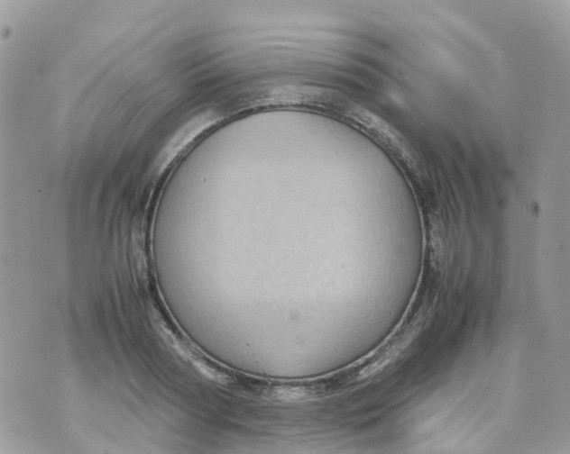 X0000070390794200606301945