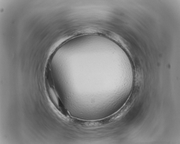 X0000070390795200606301945