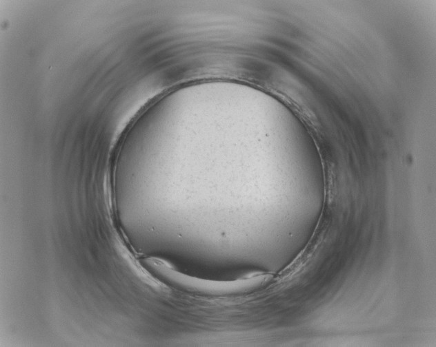 X0000070390796200606301945