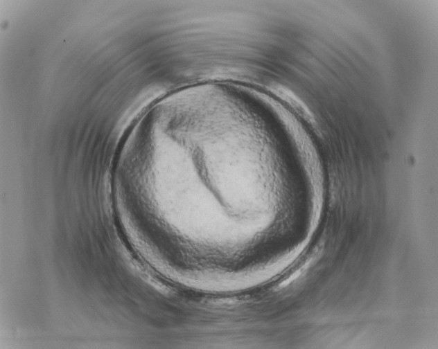 X0000070390798200606301945