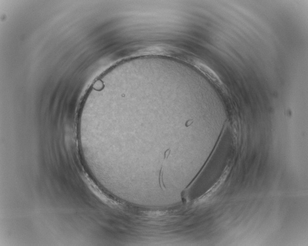 X0000070390800200606301945