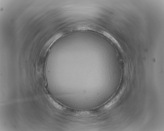 X0000070390801200606301945