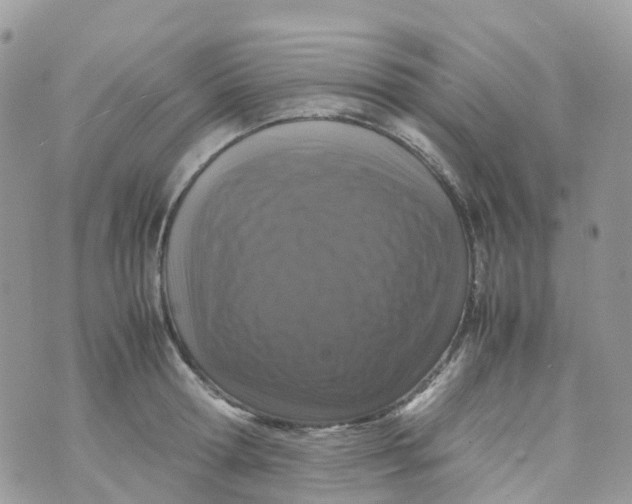 X0000070390802200606301945