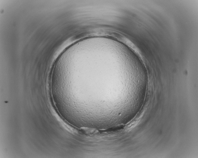 X0000070390803200606301945