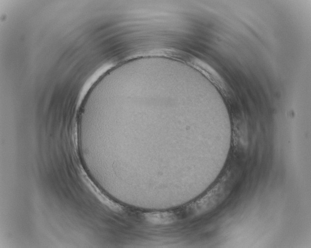 X0000070390804200606301945