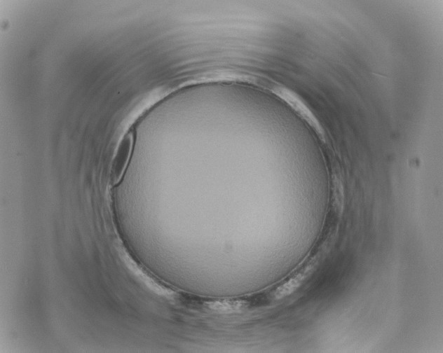 X0000070390805200606301945