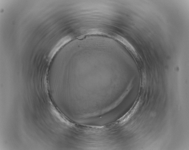 X0000070390806200606301945