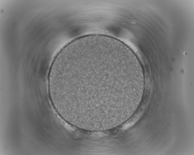 X0000070390807200606301945