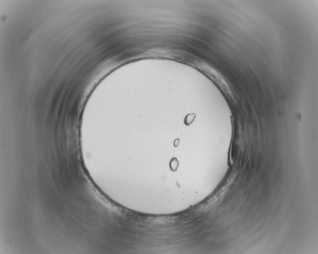 X0000070390808200606301945