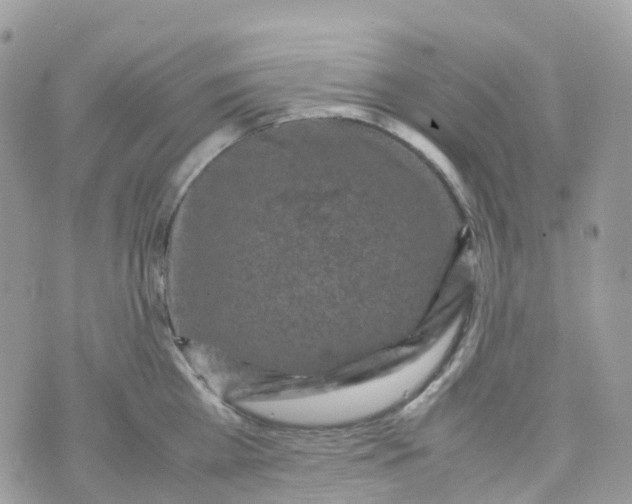 X0000070390809200606301945