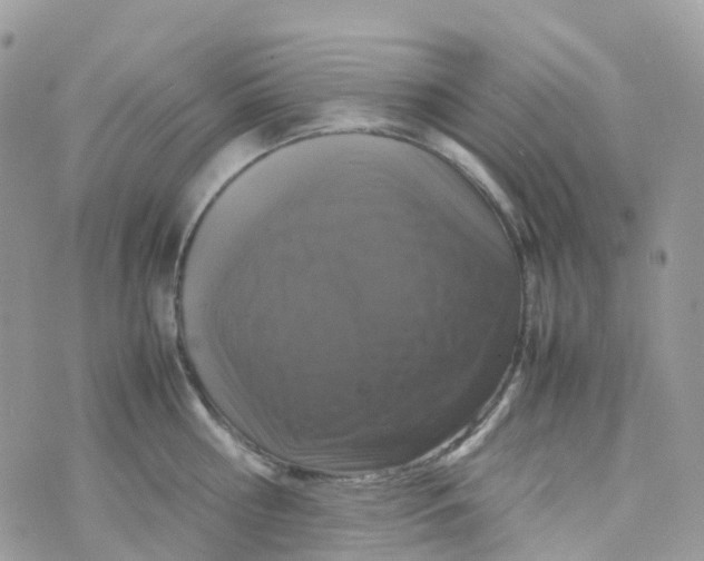 X0000070390810200606301945