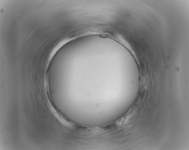 X0000070390811200606301945