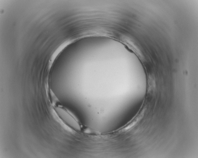 X0000070390812200606301945