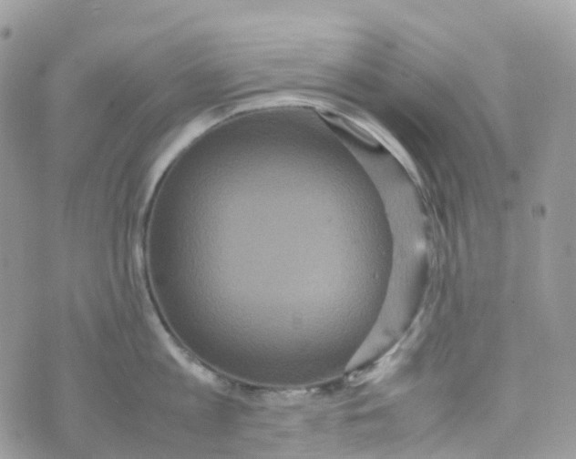 X0000070390813200606301945