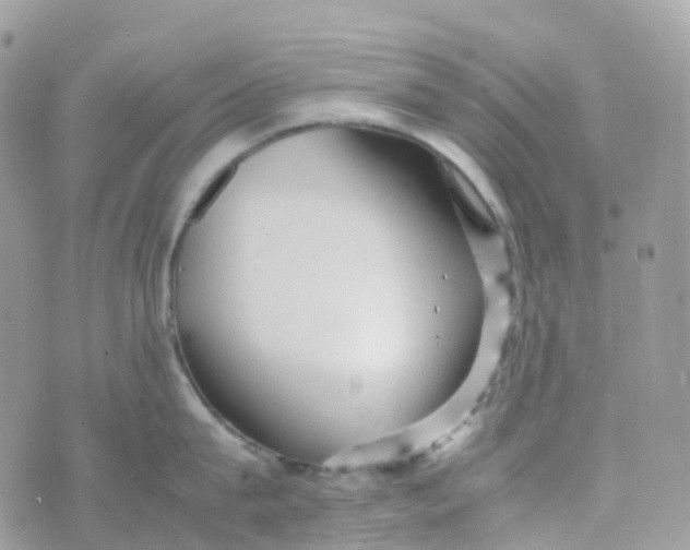 X0000070390815200606301945