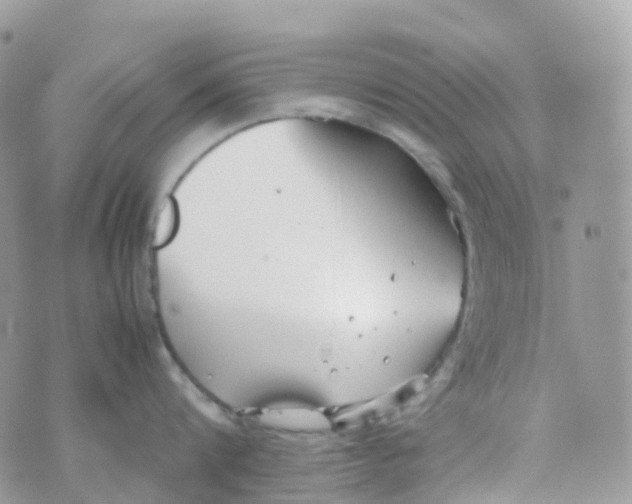 X0000070390816200606301945