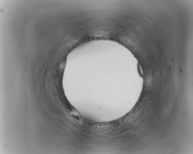 X0000070390817200606301944