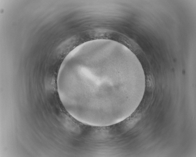 X0000070390820200606301944