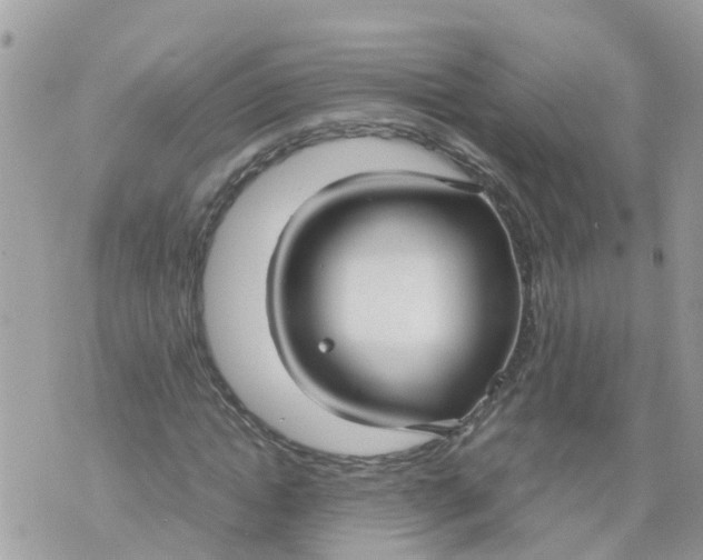 X0000070390822200606301944