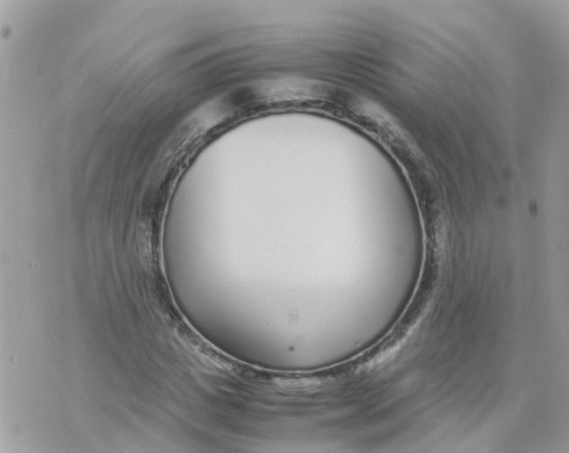 X0000070390825200606301944