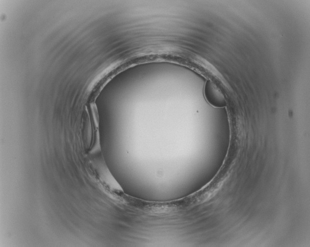 X0000070390826200606301944