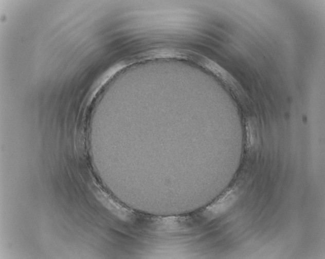 X0000070390828200606301944