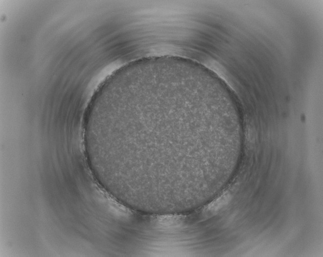 X0000070390832200606301944