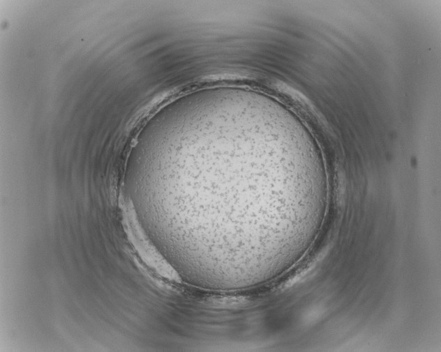 X0000070390833200606301944