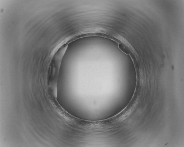 X0000070390834200606301944