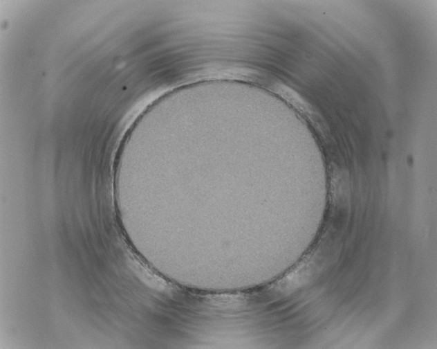 X0000070390836200606301944