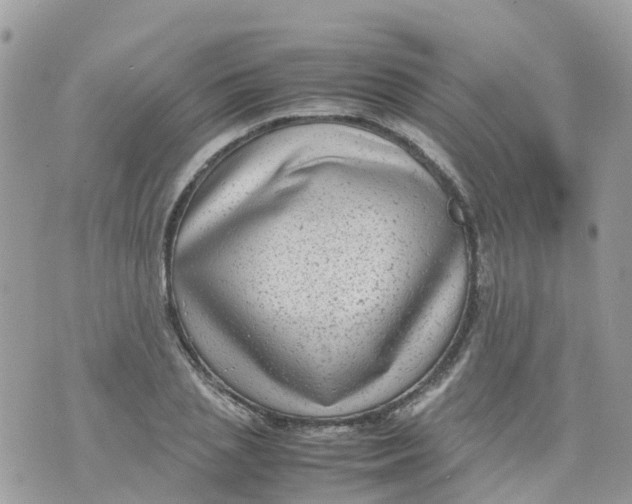 X0000070390837200606301944