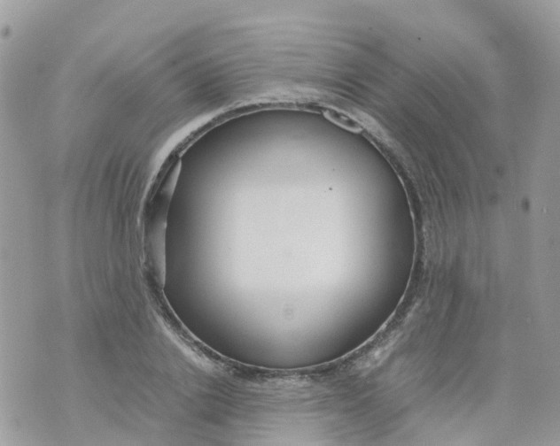 X0000070390838200606301944