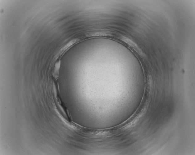 X0000070390841200606301944