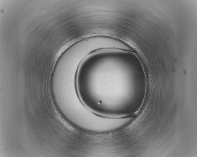 X0000070390842200606301944