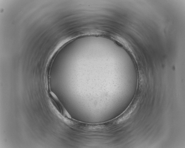 X0000070390843200606301944