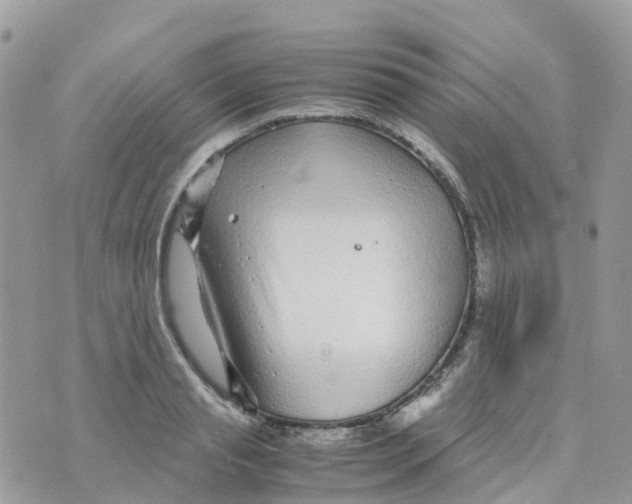 X0000070390845200606301944