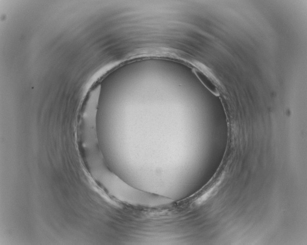 X0000070390846200606301944