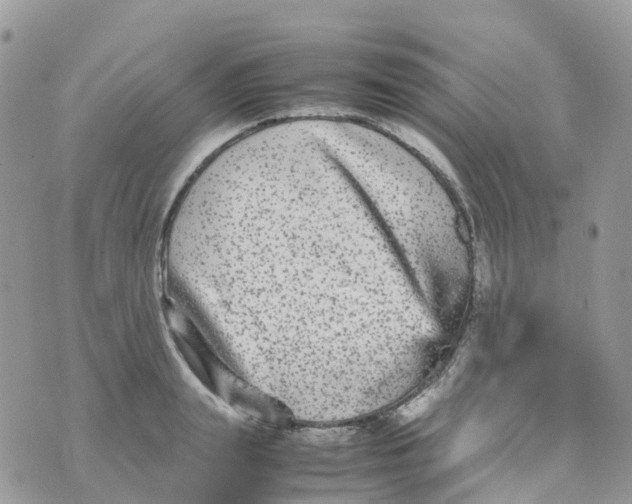 X0000070390847200606301944