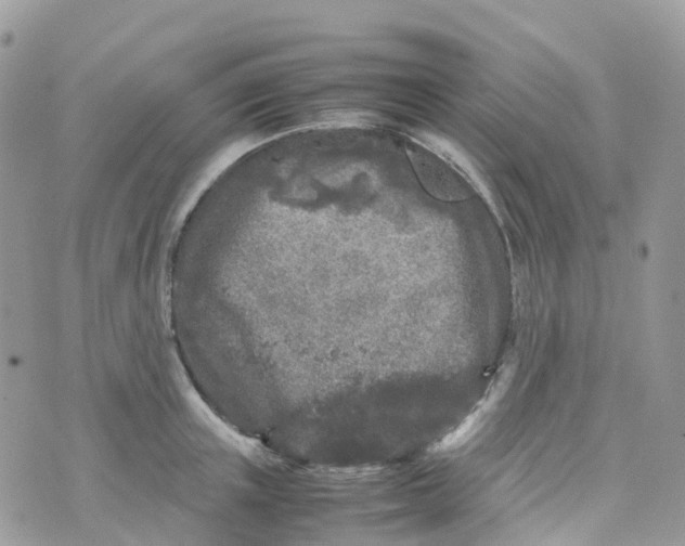 X0000070390851200606301944